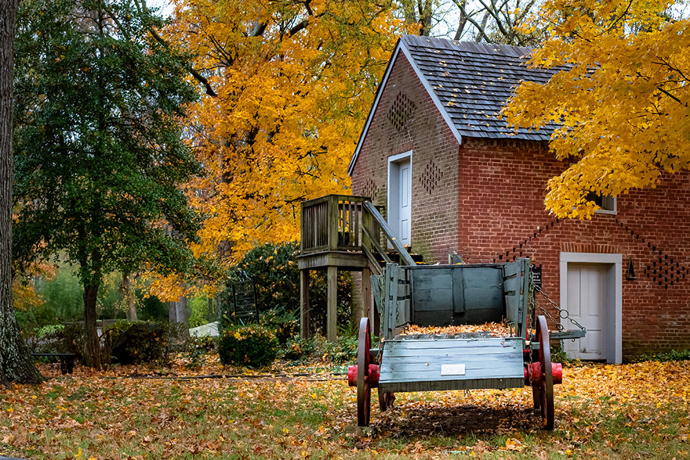 Digital Nomads in Estonia