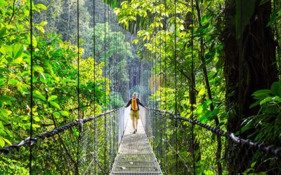 Costa Rica for Digital Nomads: Rentista Visa, Top Destinations, and Practical Guide