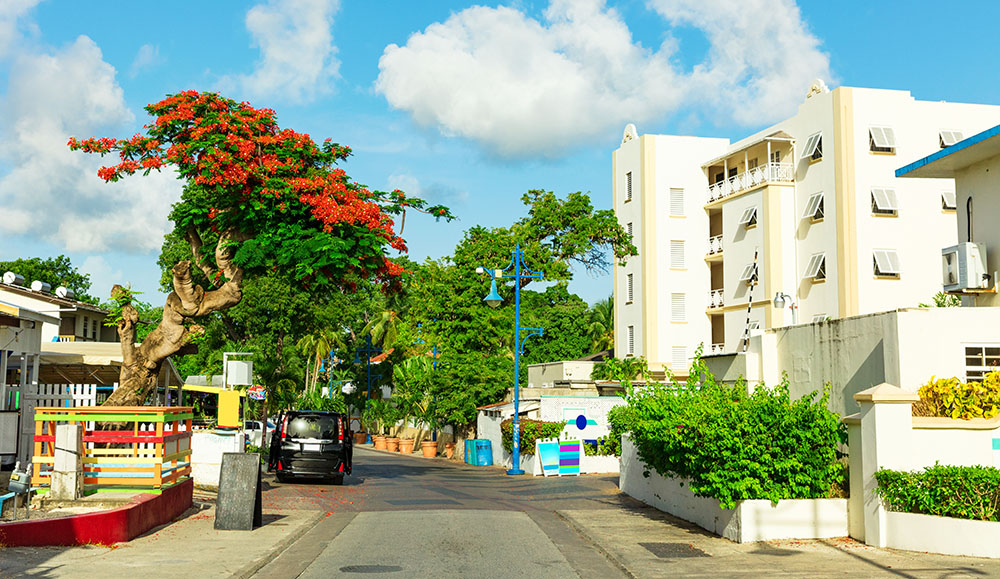 Barbados for Digital Nomads: Visas, Cities, and Cost of Living in 2025