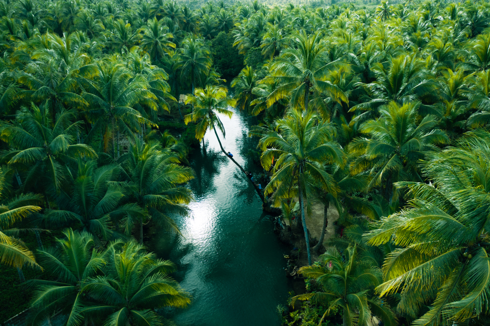 Philippines for Digital Nomads