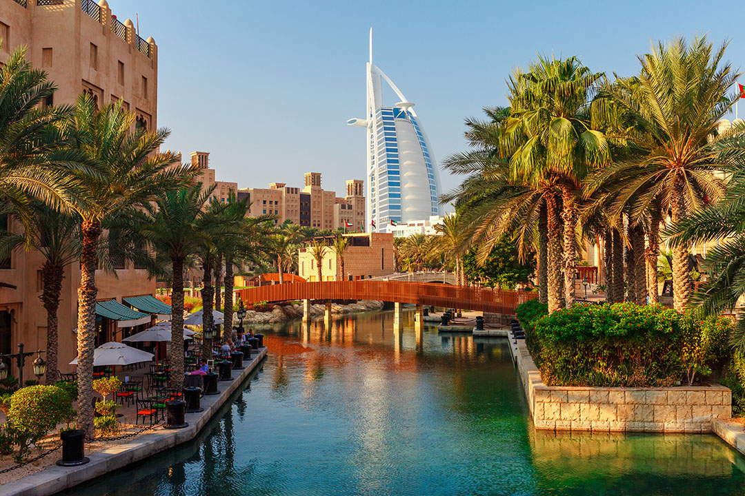 Cityscape with beautiful park with palm trees in Dubai, UAE dubai cityscape