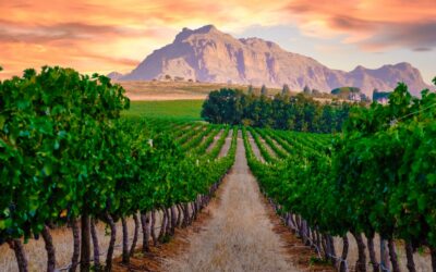 South Africa for Digital Nomads: Visas, Cities, Costs & Remote Work