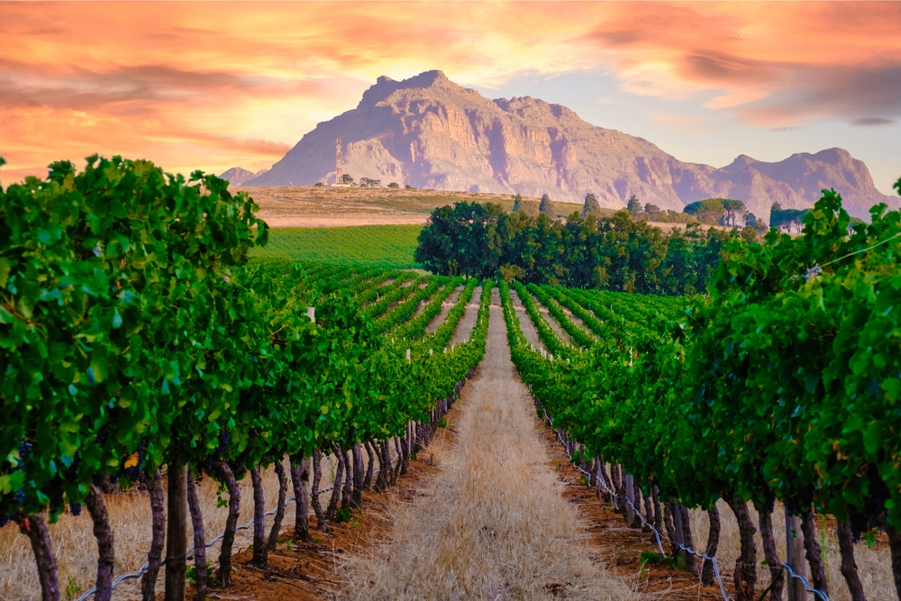 South Africa for Digital Nomads: Visas, Cities, Costs & Remote Work