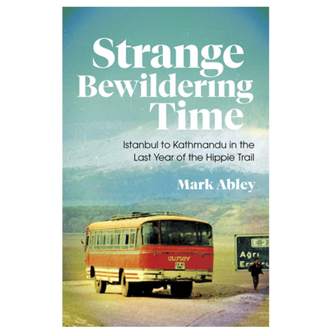 strange-bewild strange bewildering time book cover